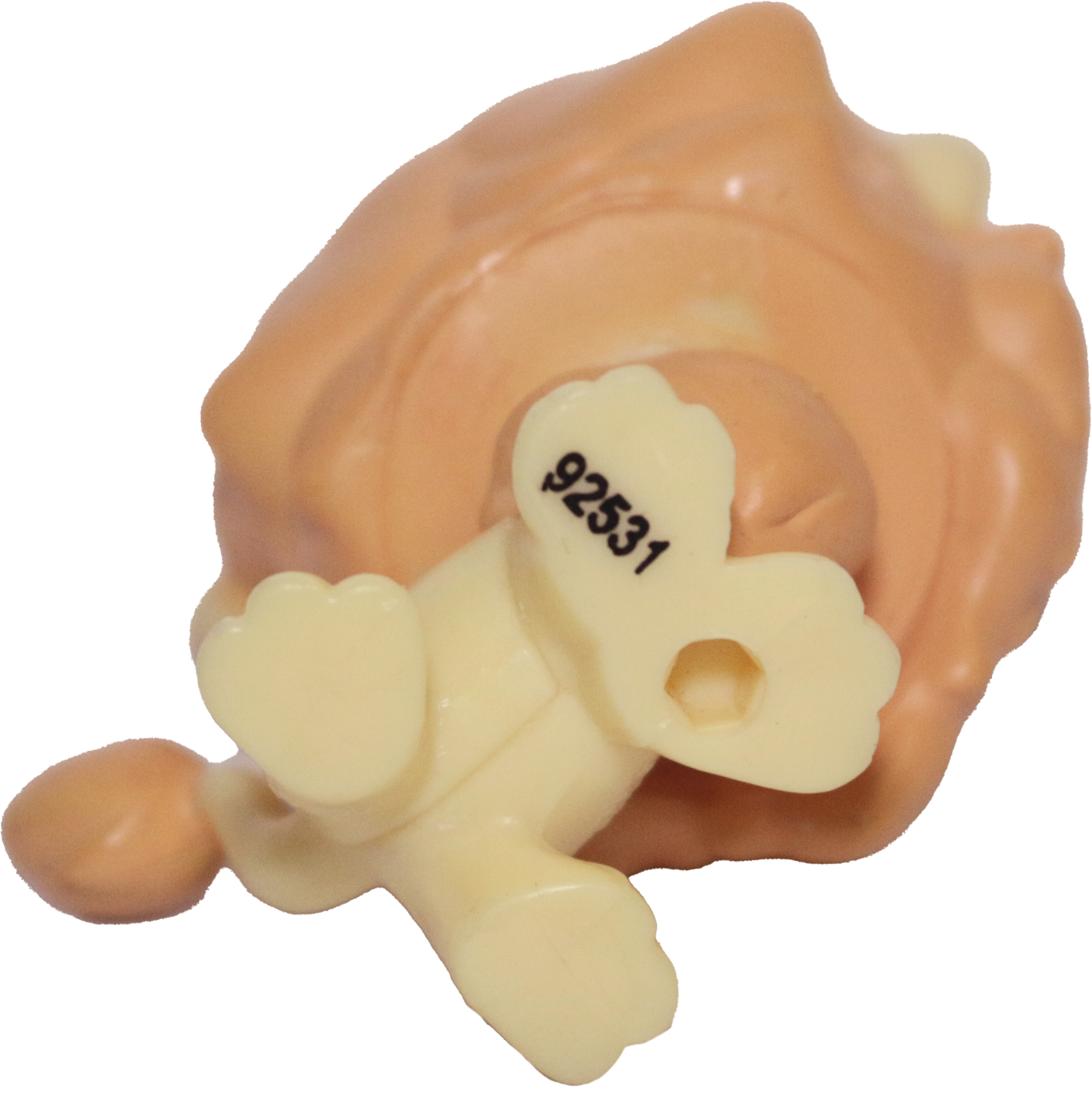 #1004 Lion