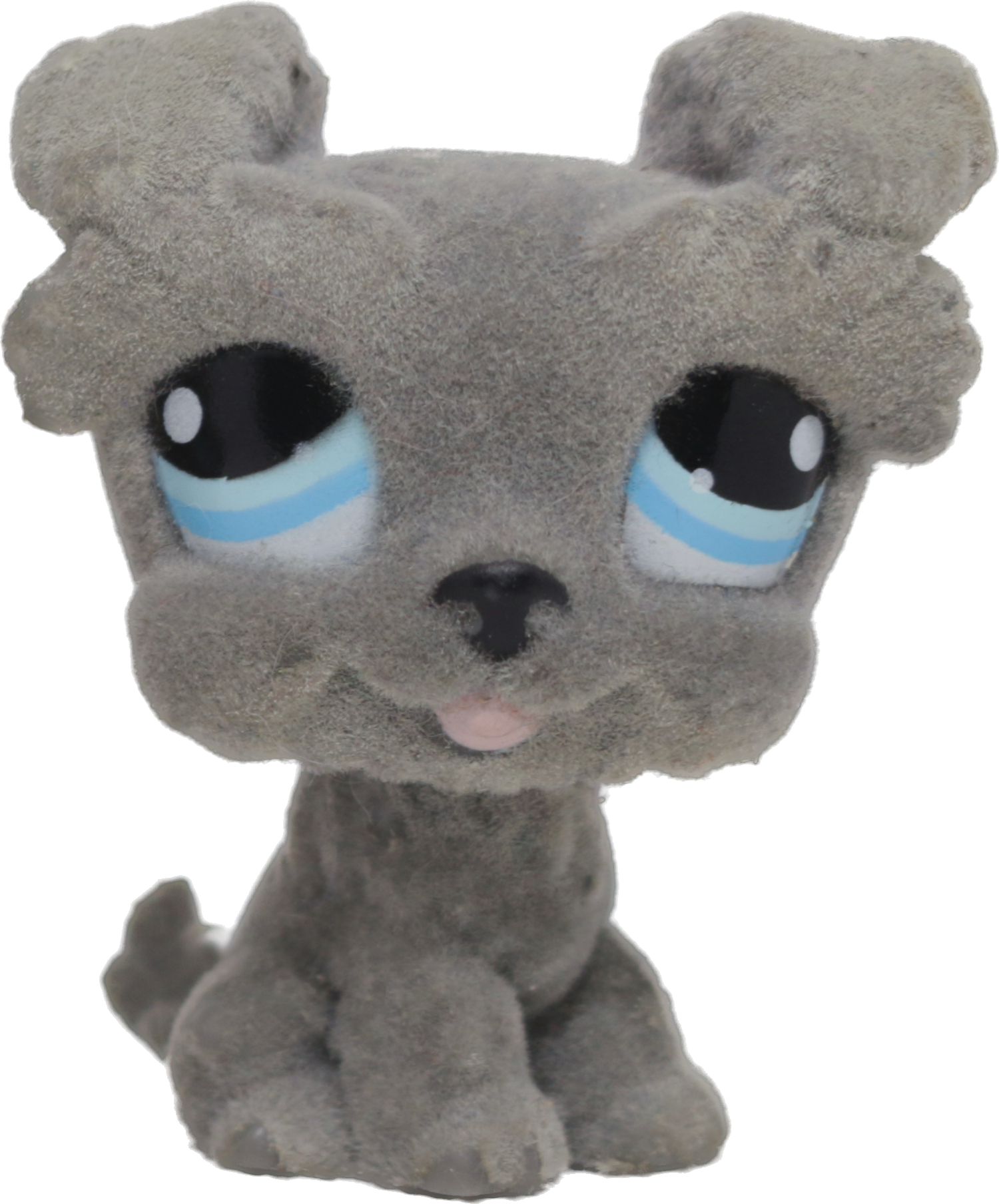 #1006 Schnauzer