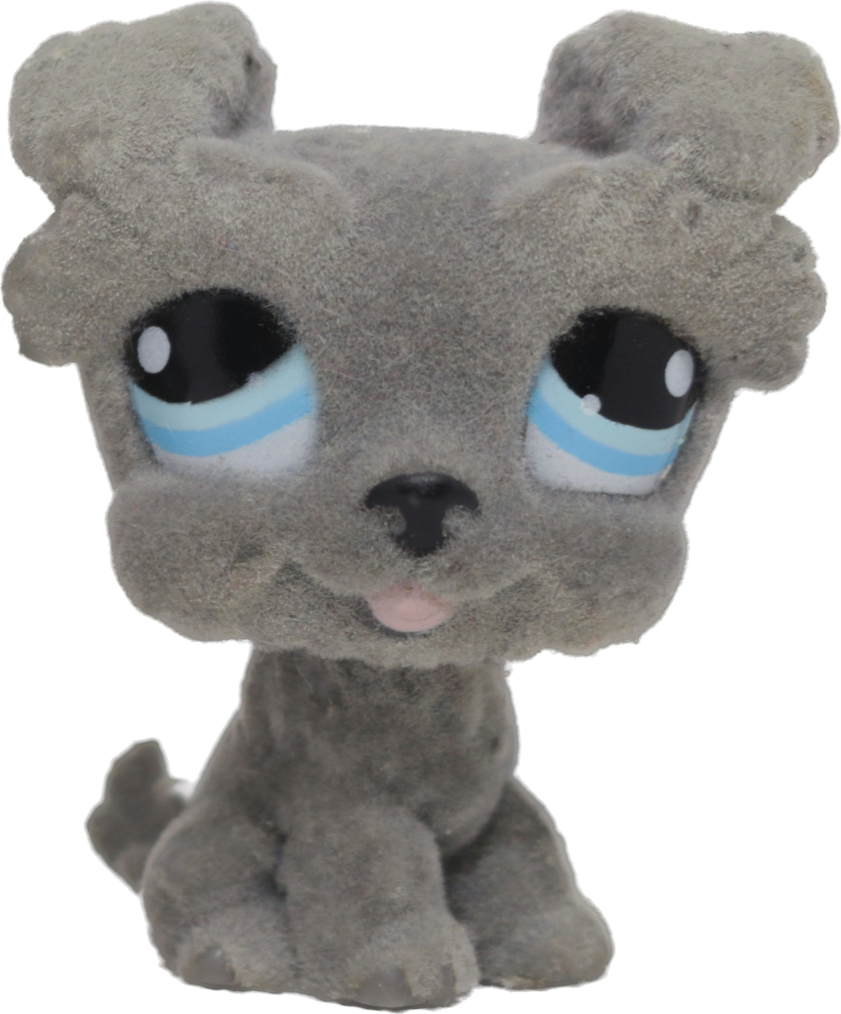 #1006 Schnauzer