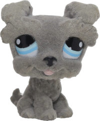 #1006 Schnauzer