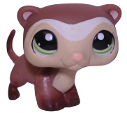 #1026 Ferret