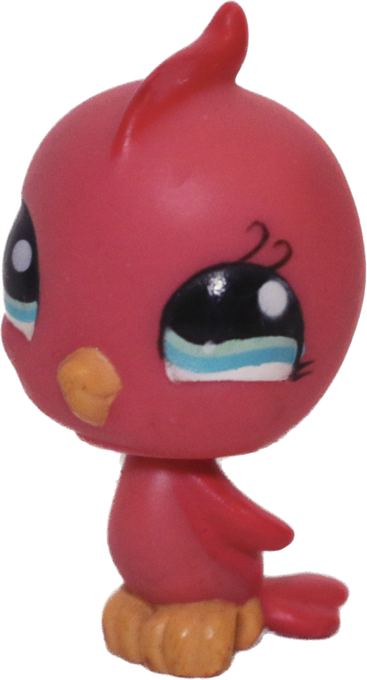 #1033 Parakeet