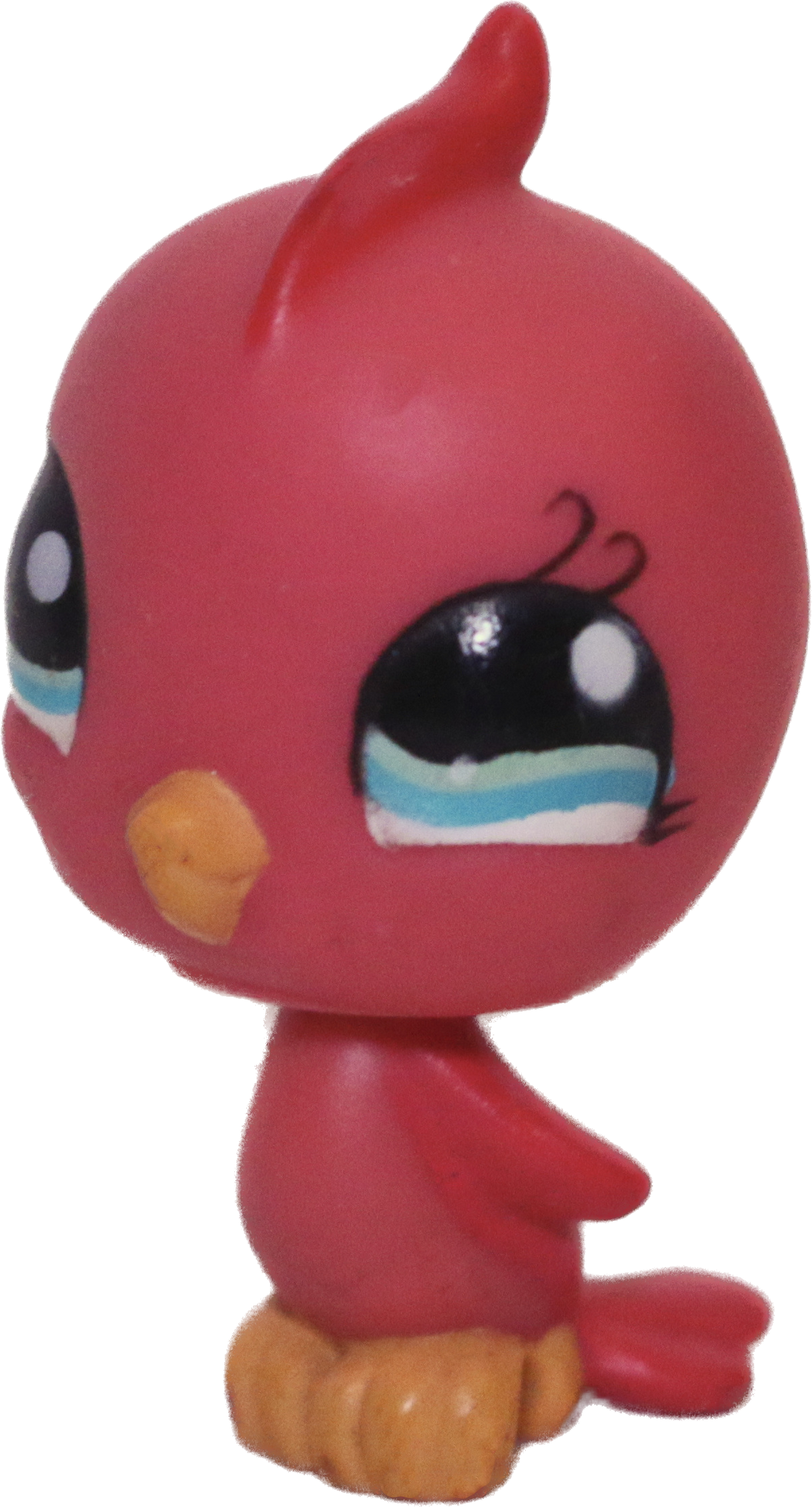 #1033 Parakeet