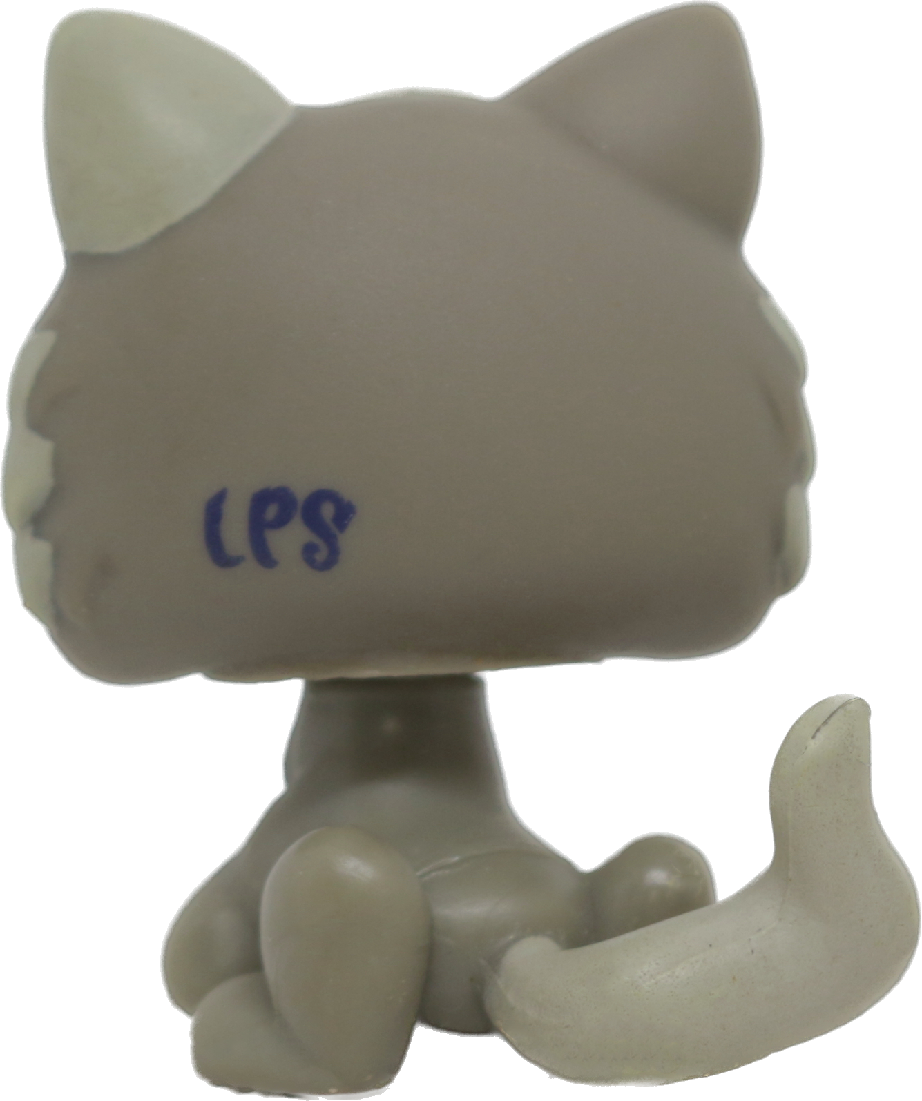 #1035 Kitten