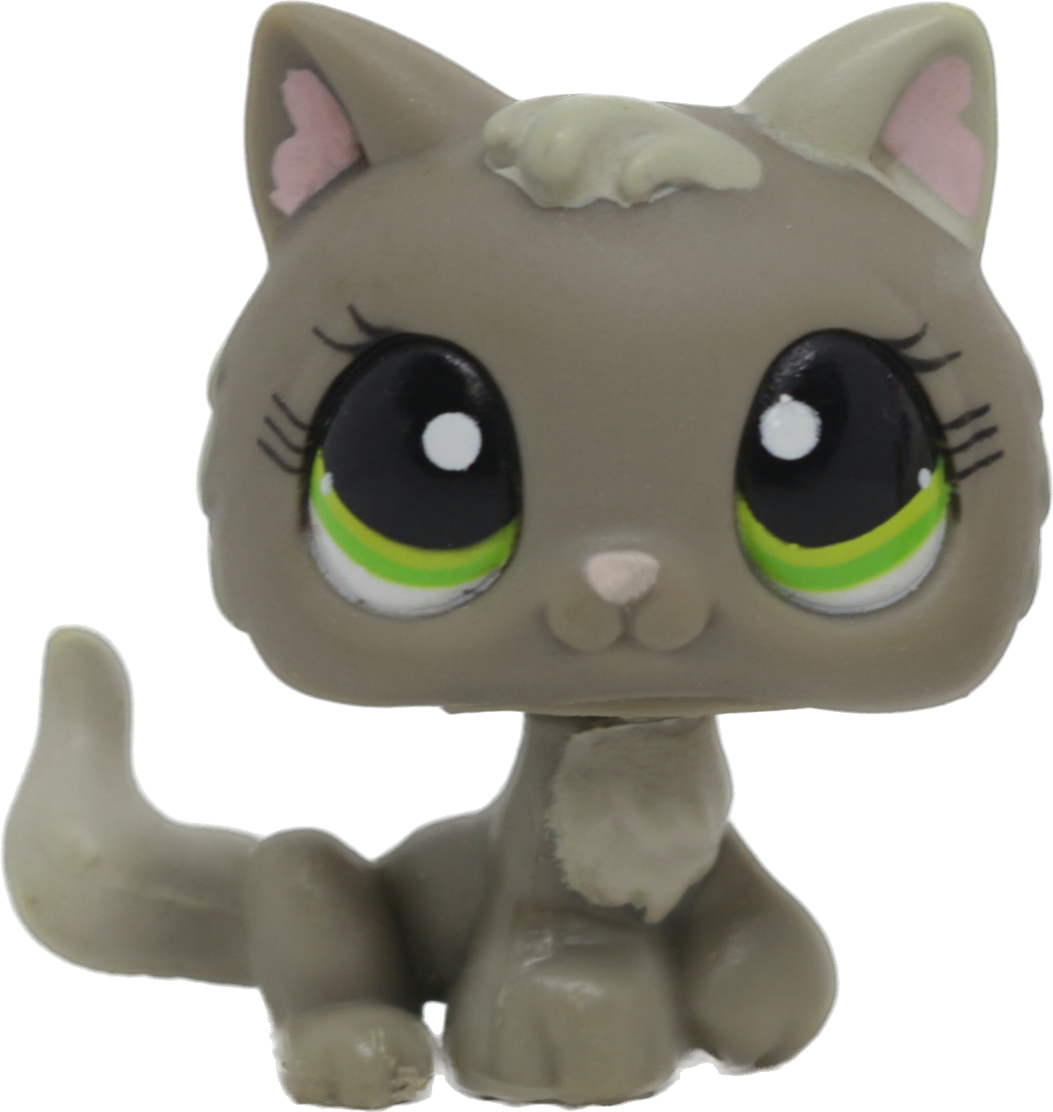 #1035 Kitten