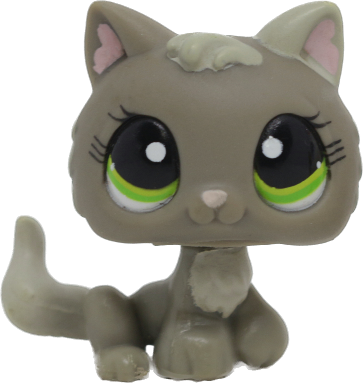 #1035 Kitten