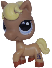 #1081 Horse