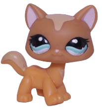 #1100 Destiny Cat