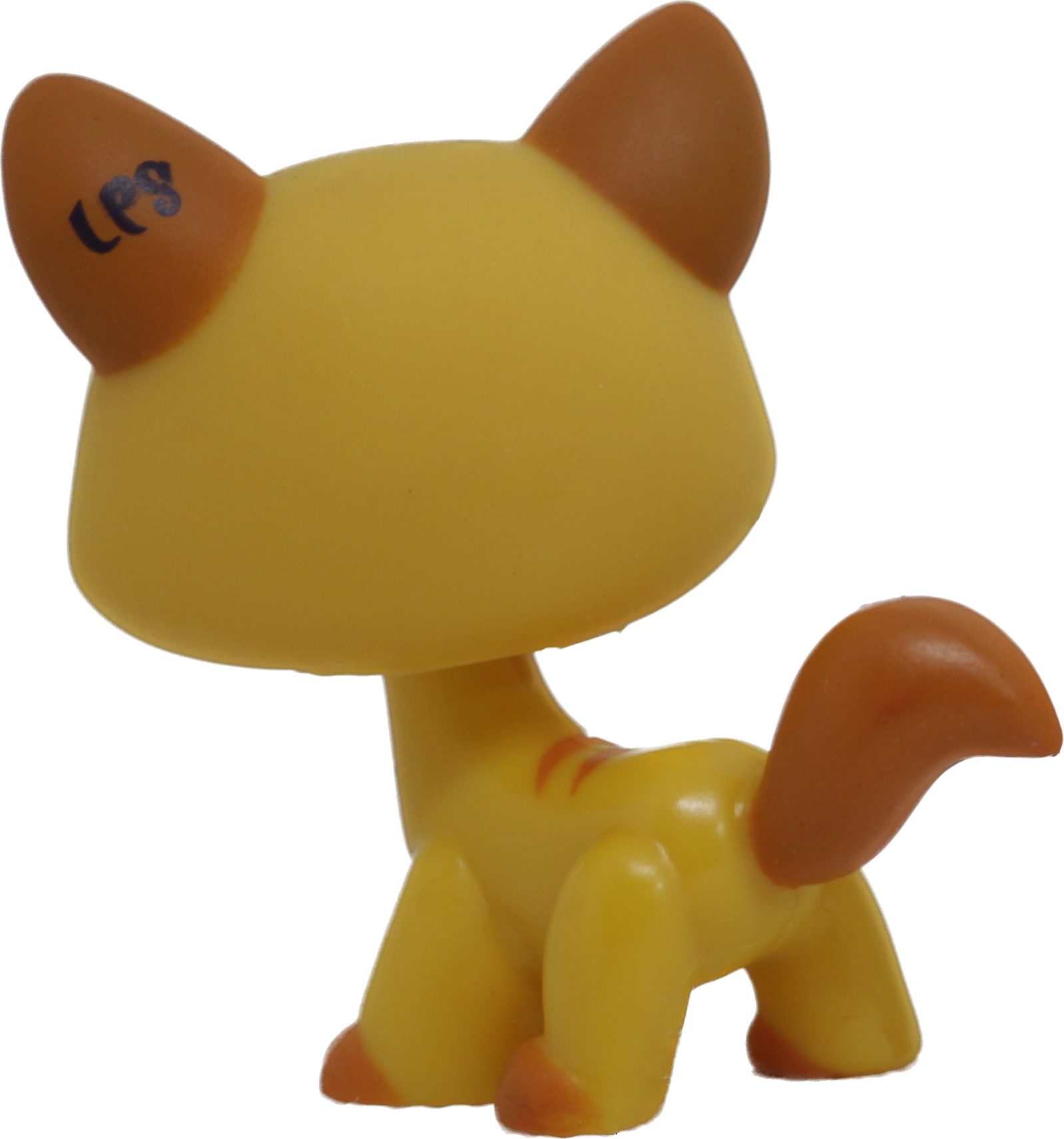 #1137 Destiny Cat