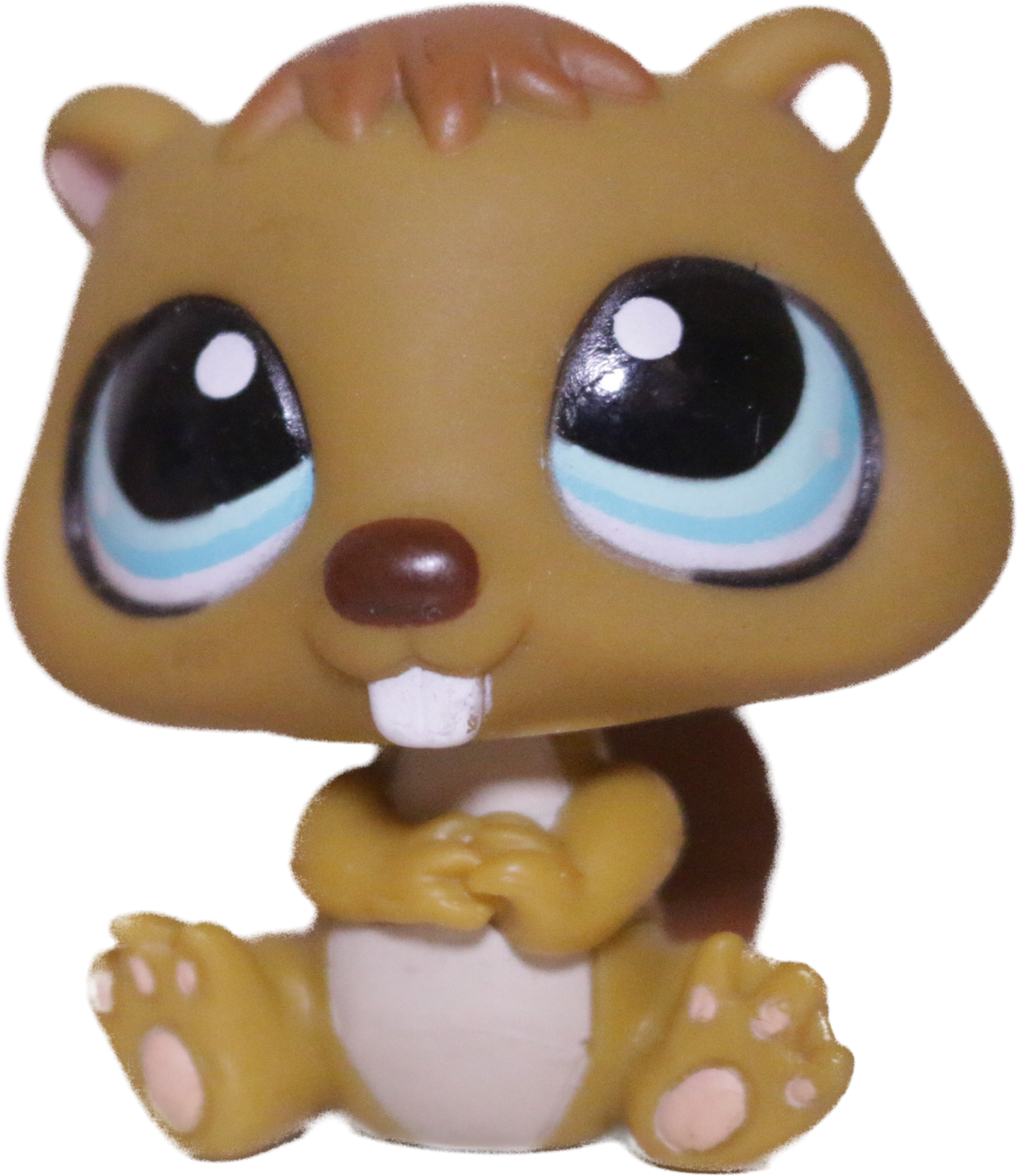 #1152 Beaver