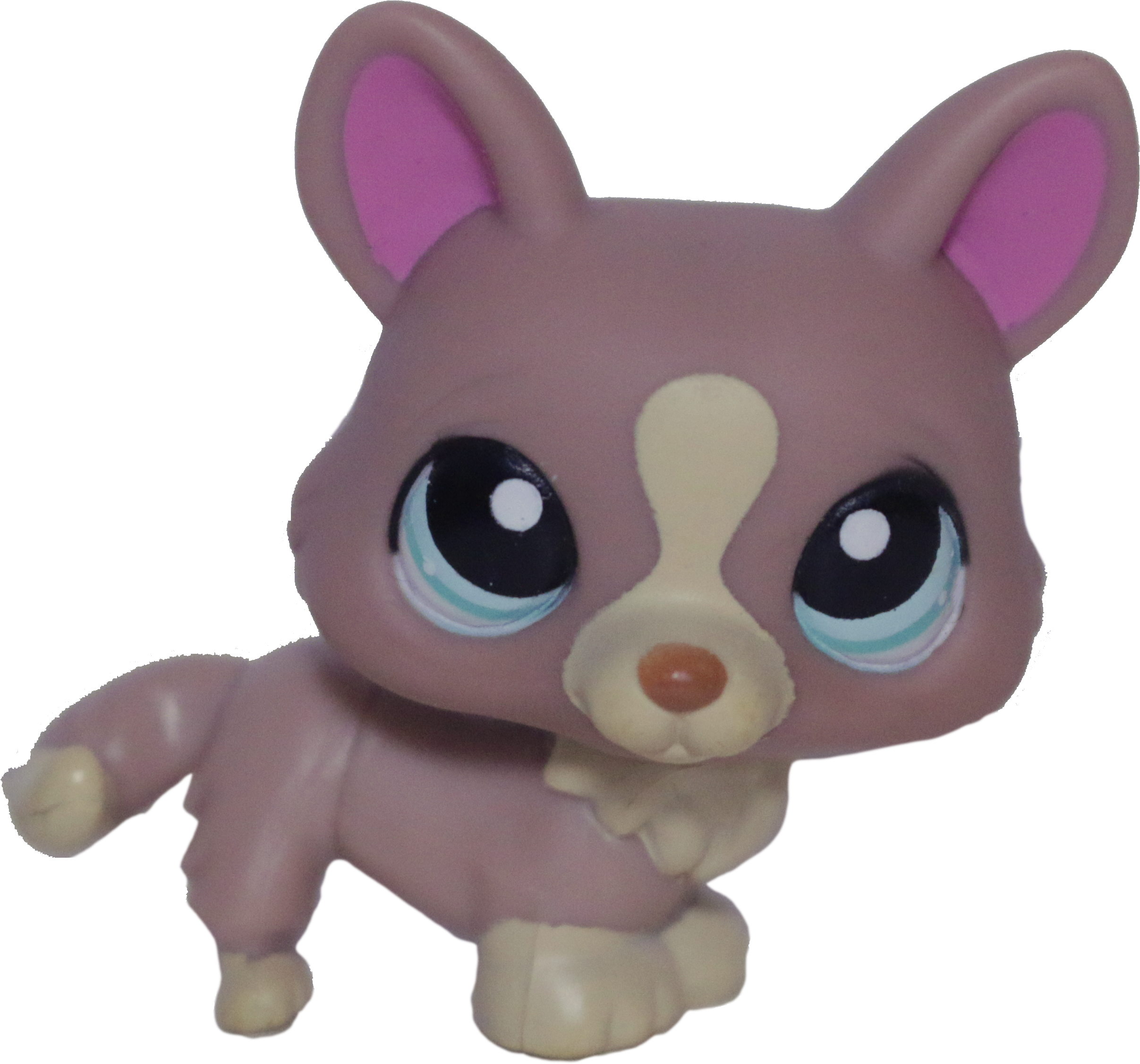 #1158 Corgi