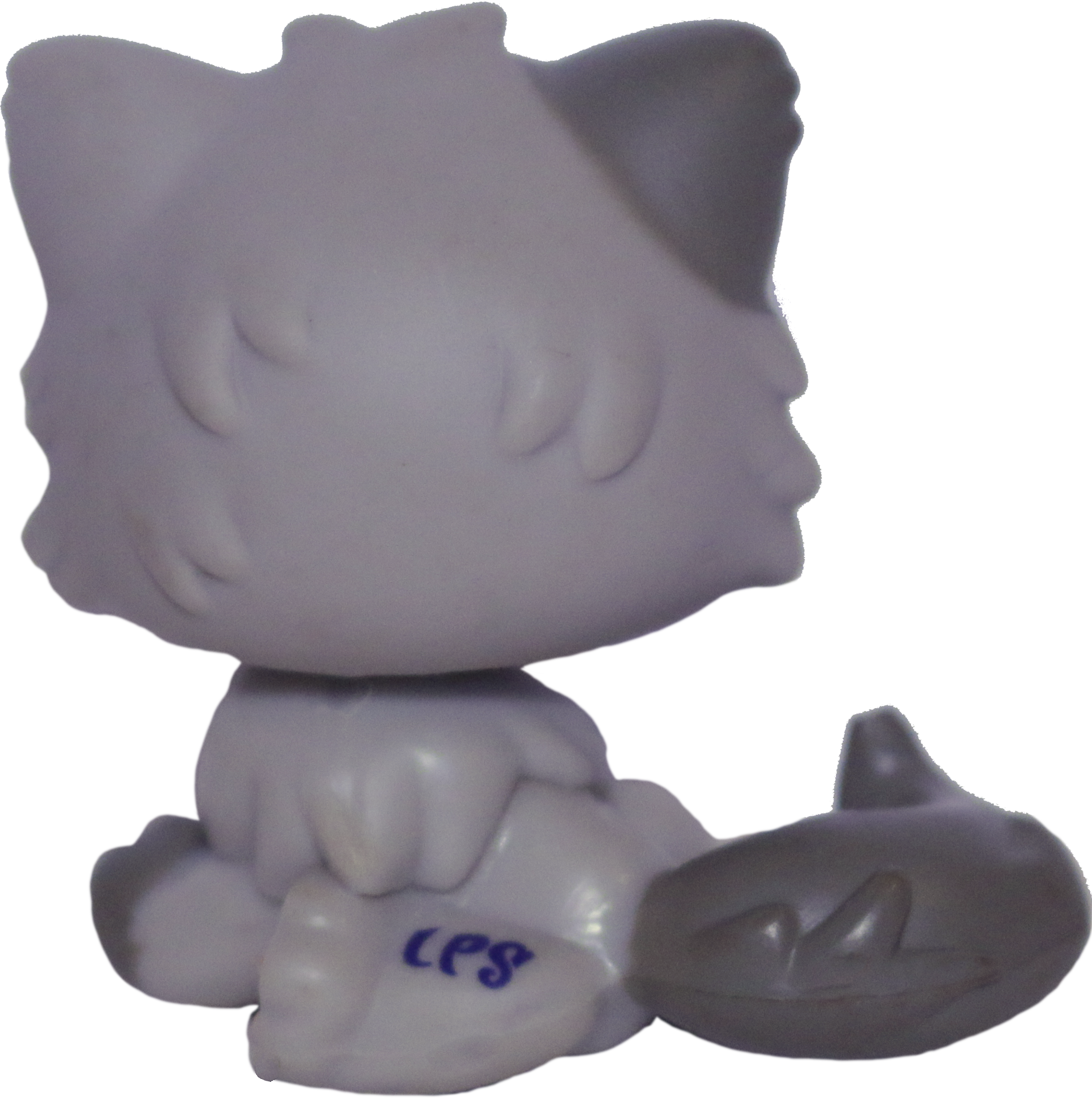 #1159 Persian Cat