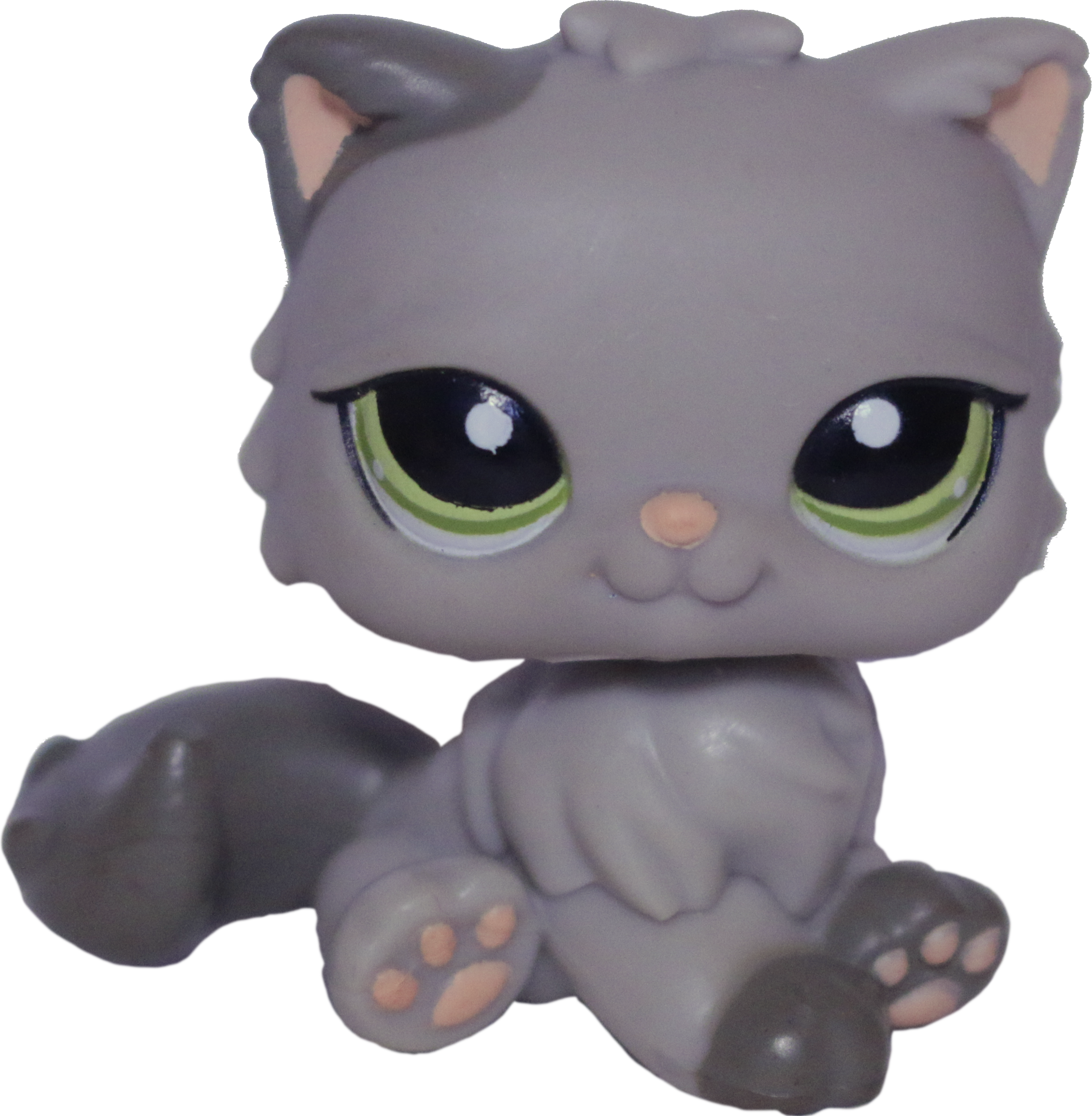 #1159 Persian Cat