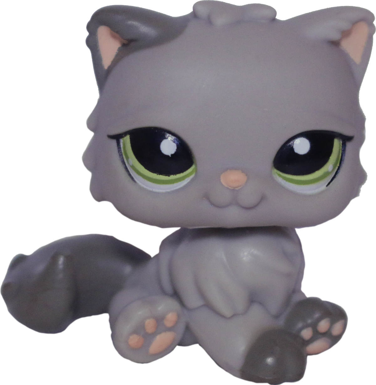 #1159 Persian Cat