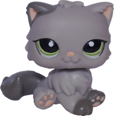 #1159 Persian Cat