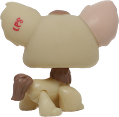#1171 Chihuahua