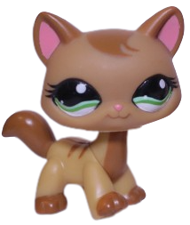 #1174 Destiny Cat