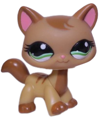 #1174 Destiny Cat