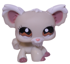 #1199 Chihuahua