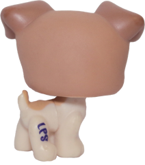 #1302 Jack Russell