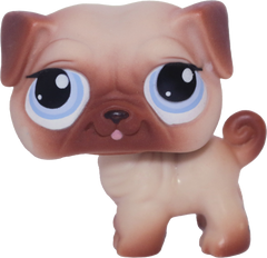 #1313 Pug