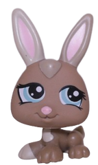 #1332 Baby Rabbit