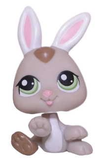 #1334 Baby Rabbit
