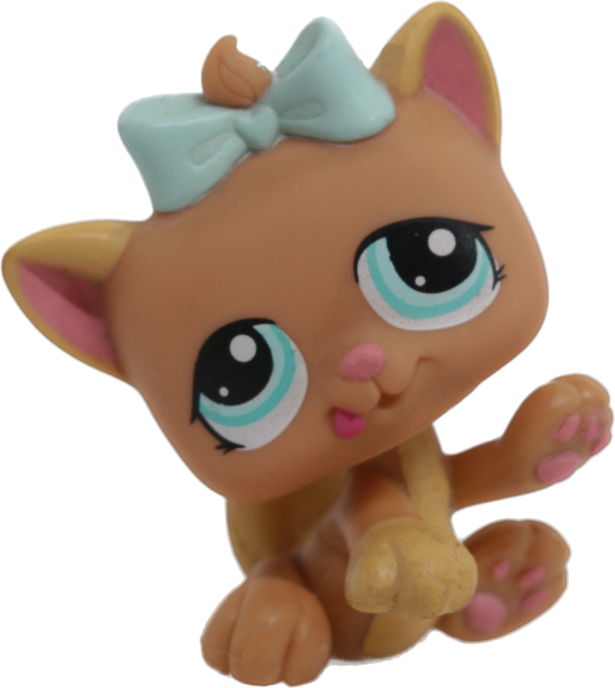 #1335 Kitten