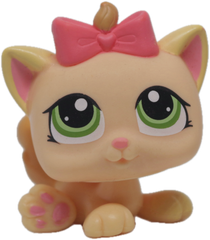 #1336 Kitten