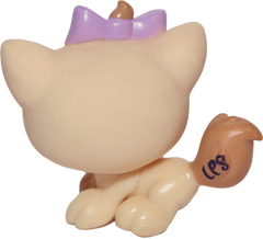 #1337 Kitten