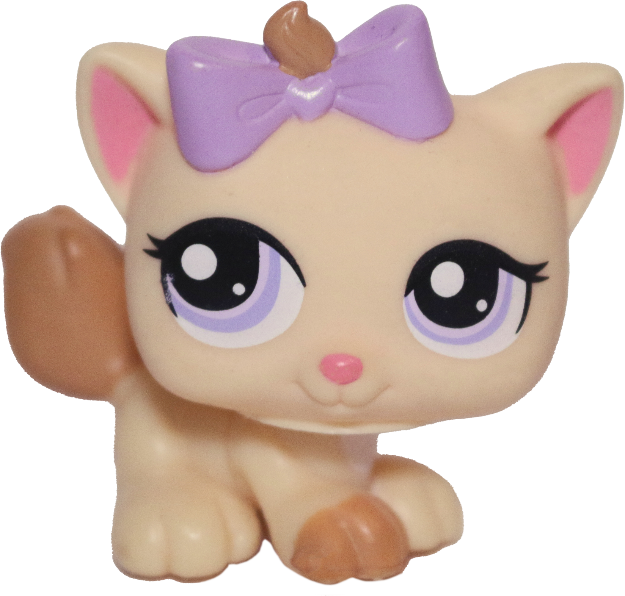 #1337 Kitten