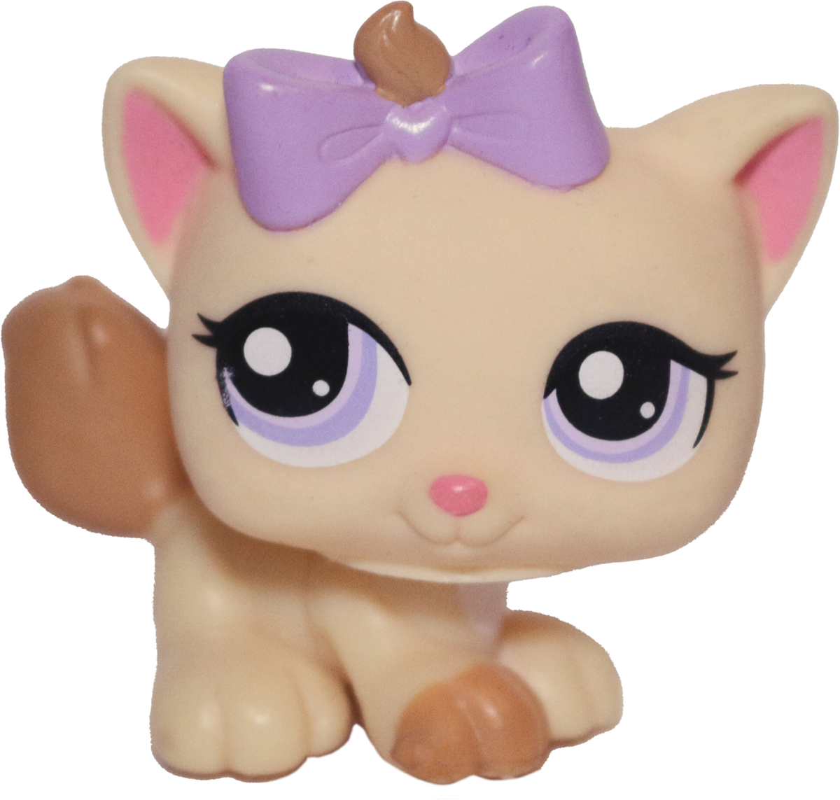 #1337 Kitten