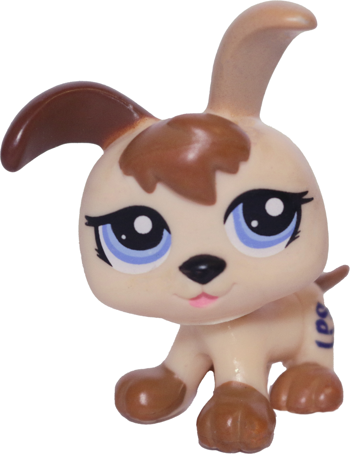 #1339 Puppy
