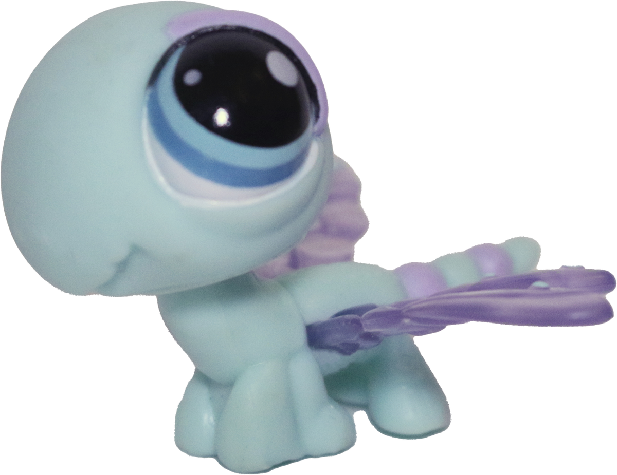#1343 Dragonfly