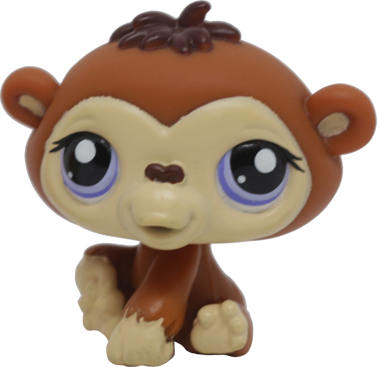 #1347 Chimpanzee