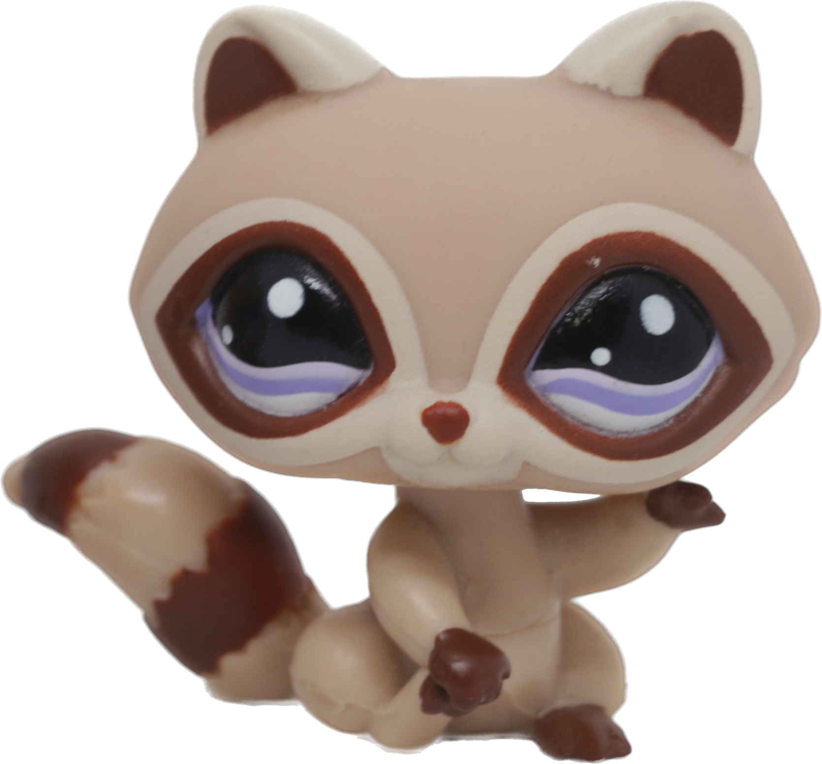 #1348 Raccoon