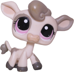 #1351 Cow