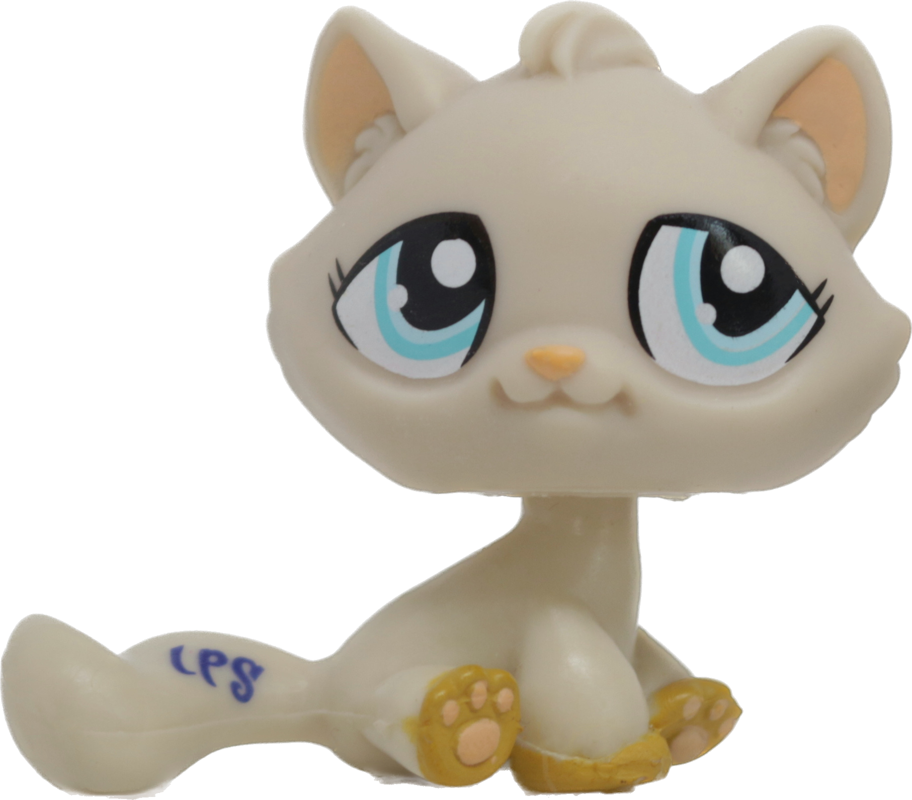 #1364 Sitting Bonbon Cat