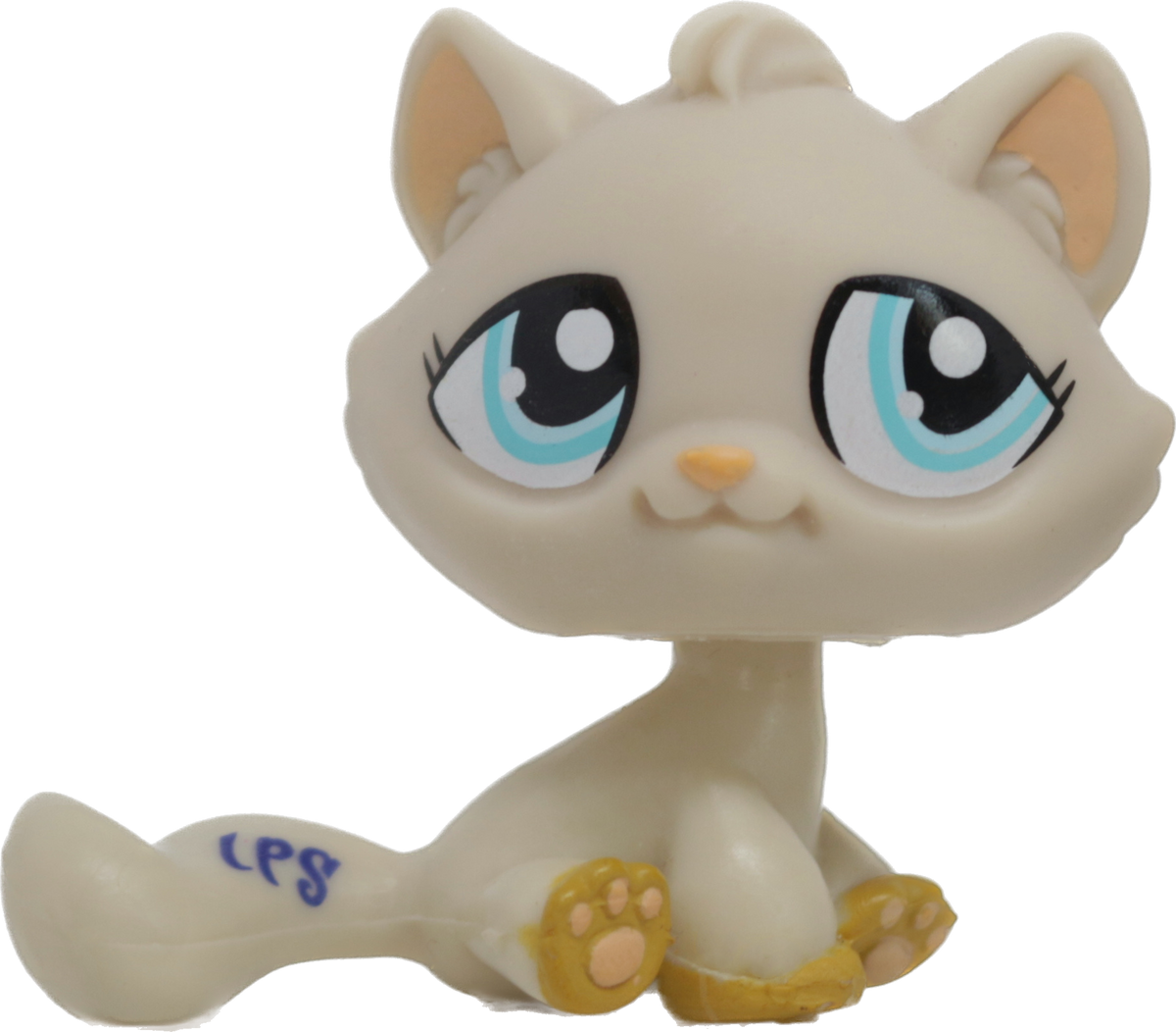 #1364 Sitting Bonbon Cat