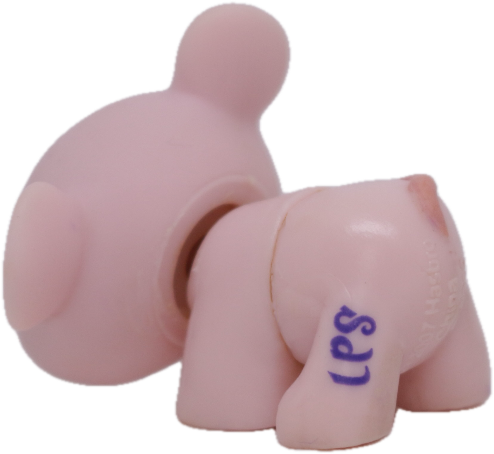 LPS #1371 Mouse