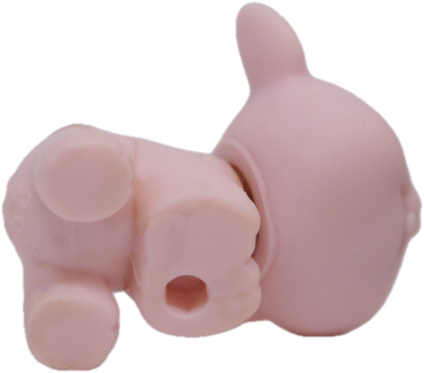 LPS #1371 Mouse