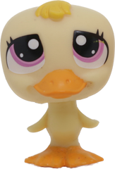 #1374 Duck