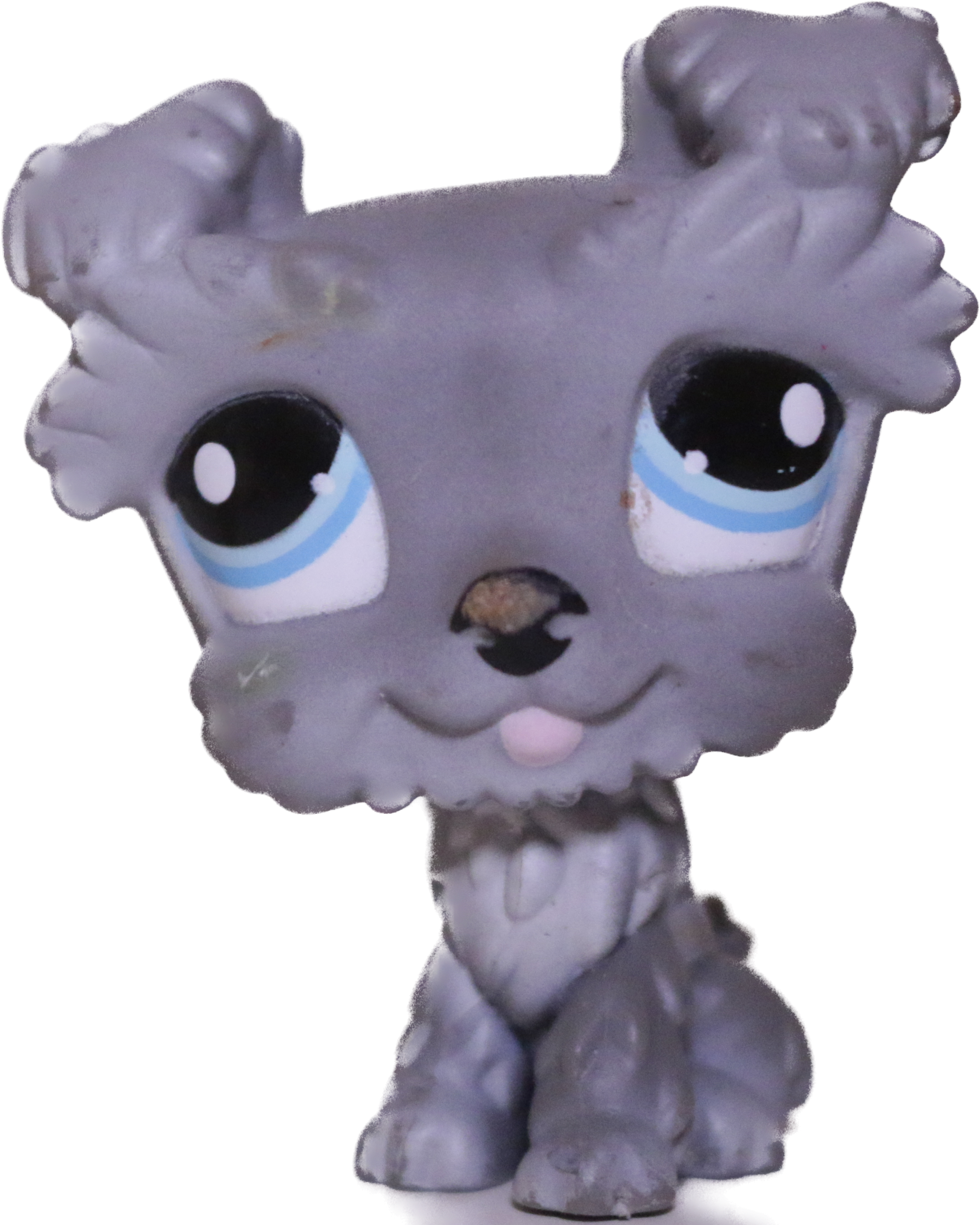 #1393 Schnauzer