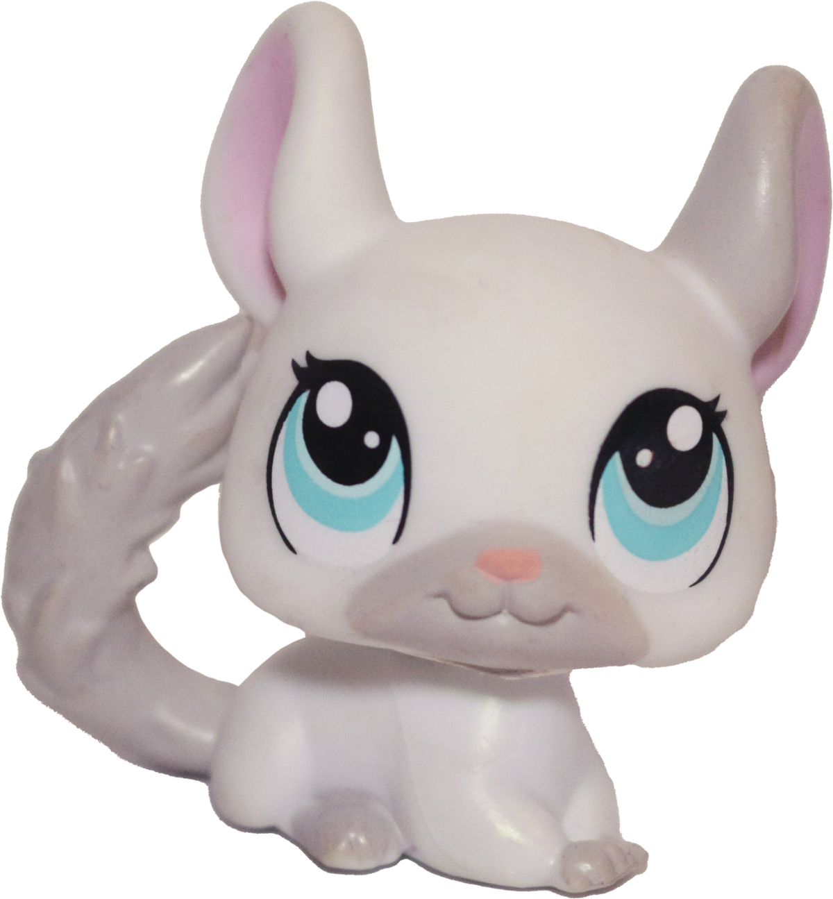 #1401 Chinchilla