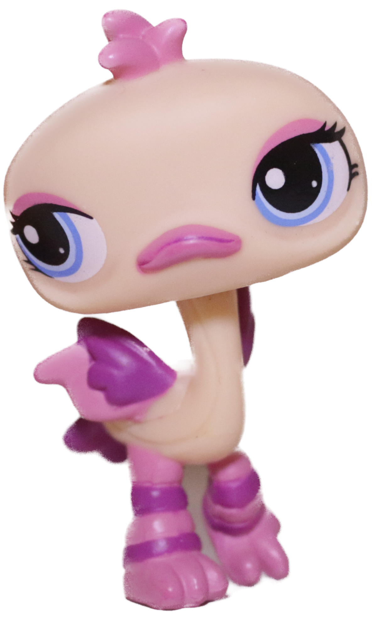 #1416 Ostrich