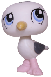 #1456 Seagull