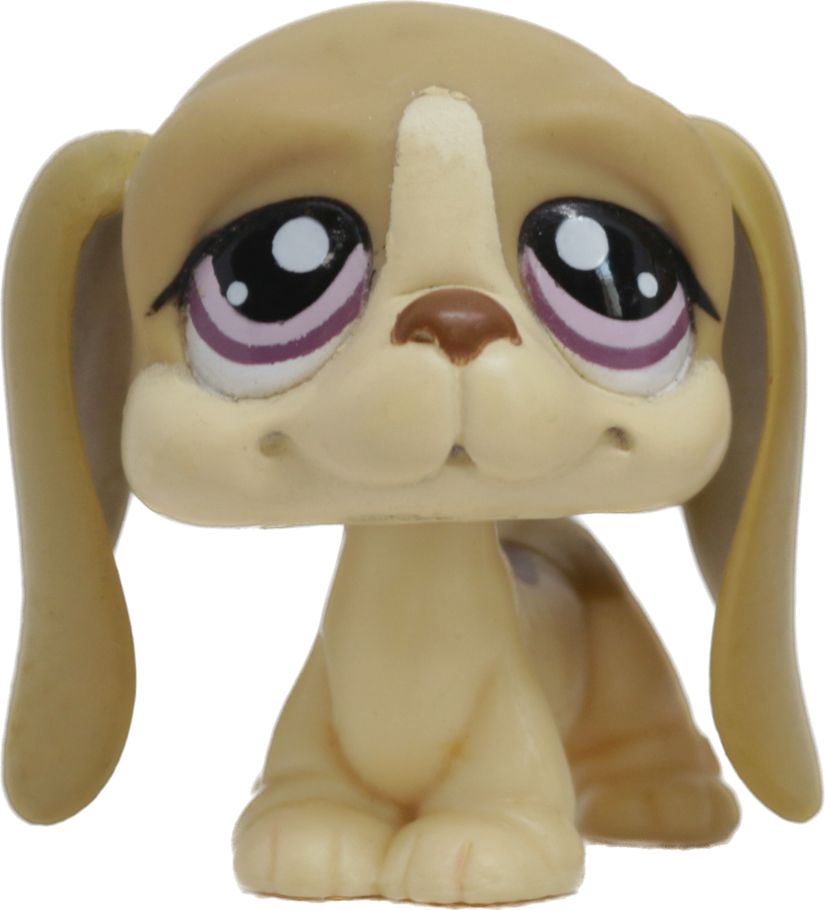 #1465 Basset Hound