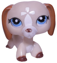 #1491 Dachshund