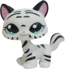 #1498 Destiny Cat