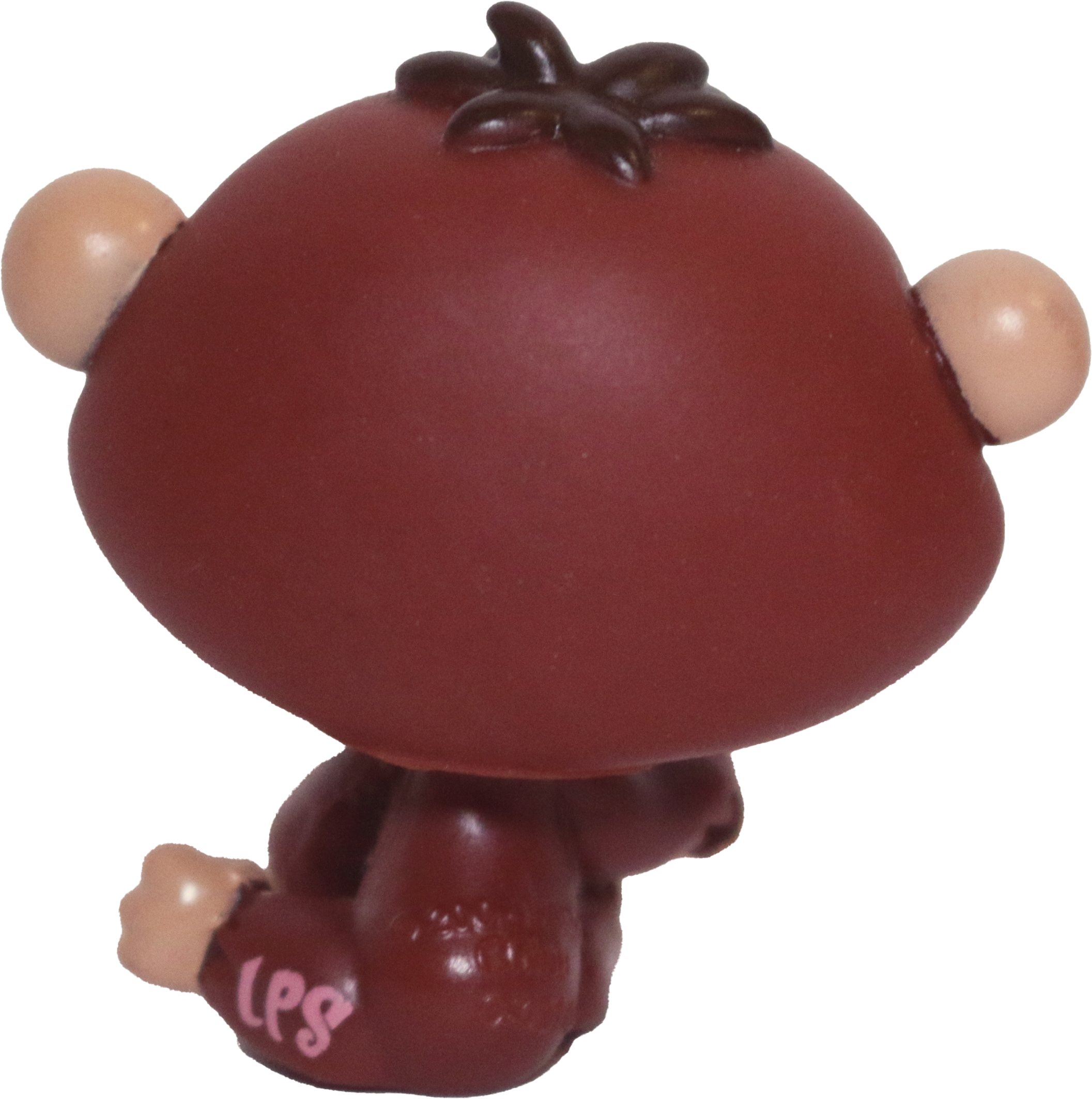 #1510 Chimpanzee